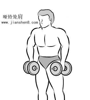 17岁高中生暑假哑铃健身计划,哑铃练全身30天新手训练计划