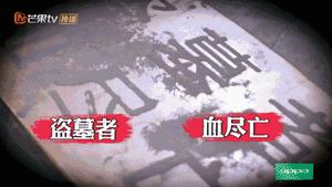 这部国产良心片为何能不火,国产最良心的综艺