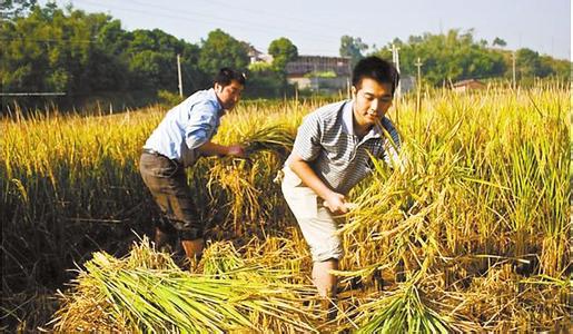 辽宁村官要涨工资啦，快看看村官和公务员有啥不一样？