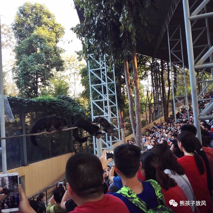 能在异国被警察抓也没谁了吧？这是我的清迈，和你去的不一样！