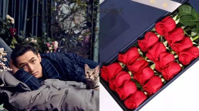 全智贤和杨颖,全智贤angelababy