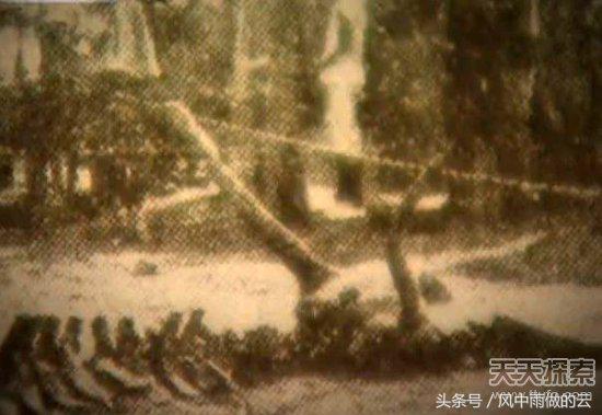 龙存在的证据大全,古代龙真实存在吗