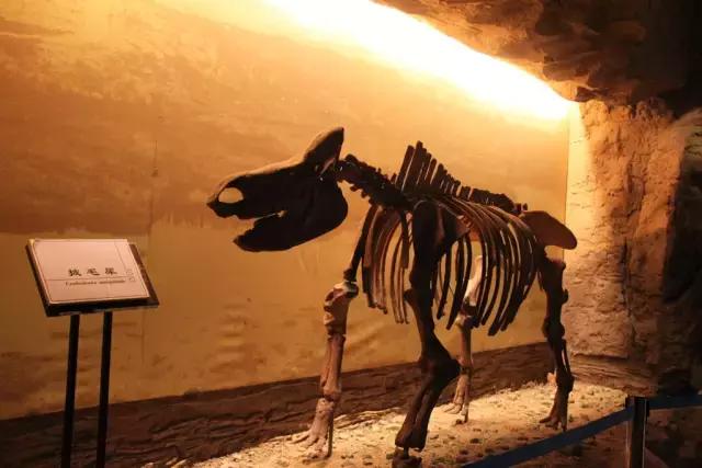 水洞沟长什么样好不好玩,围观说实话