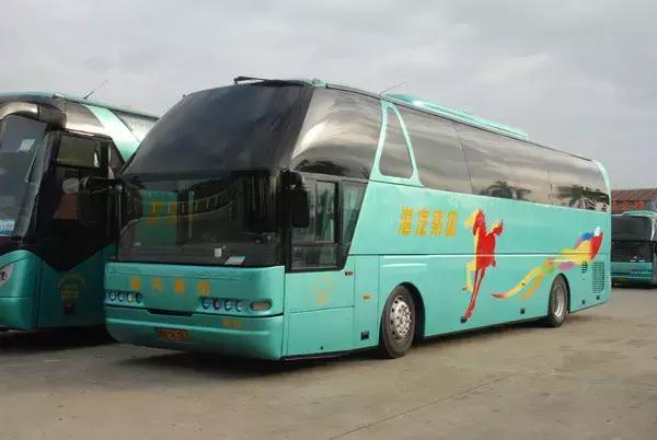 雷州人下月起,出门在外请带上这个证件,否则没办法上车!