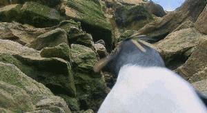 豆瓣9.7的企鹅版《无间道》，上演最萌版「原配撕小三」！