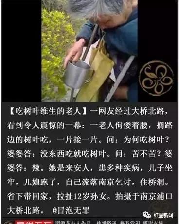 看到捡垃圾吃的老人要报警吗,吃树叶的老太太