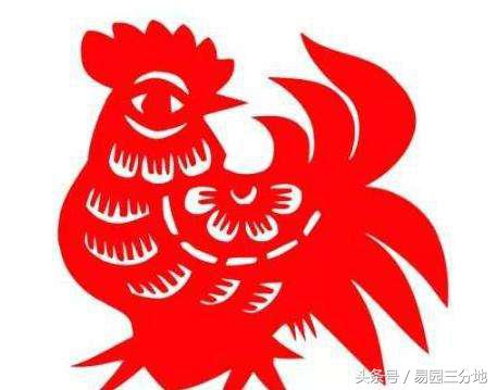 十二生肖逐月生人吉凶福禄详解,十二生肖属鸡各年份逐年流年运程