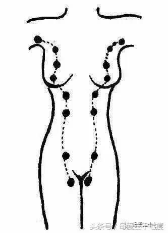 生了孩子没奶是什么原因,小猫生了没有奶怎么办