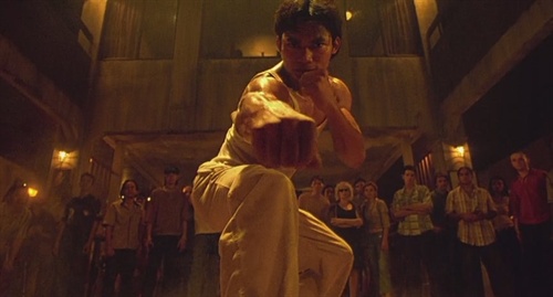 盘点近十年亚洲最燃最劲爆动作片,拳拳到肉,《拳霸》只排第三!