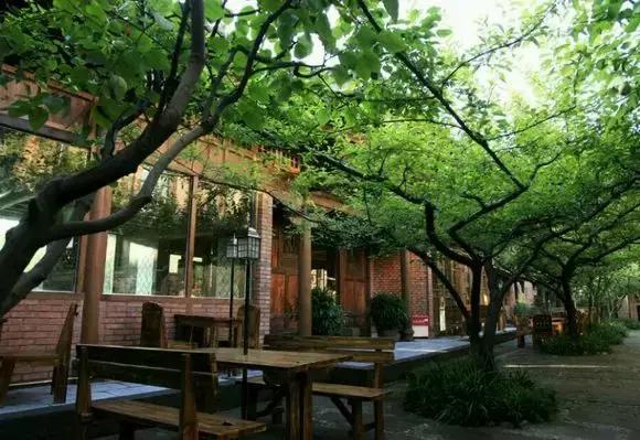 有所大学，叫标榜！逆天颜值碾压成都各大高校！