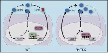 2021年中国科技成果回顾总结,2021年中国重大科技