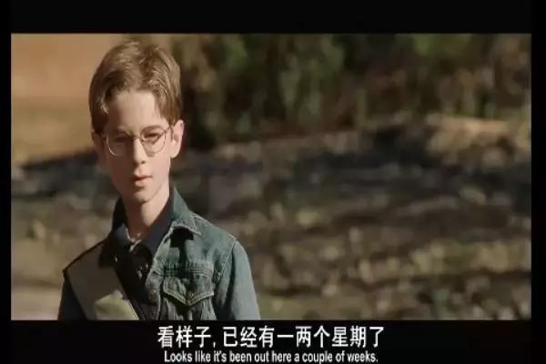 这是你们要的大长腿，备好纸巾，准备上下其手吧