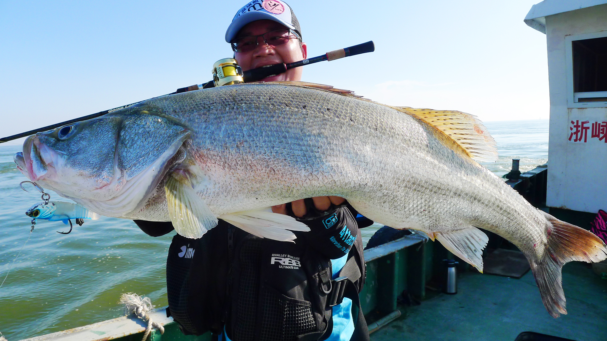 钓鱼有哪些肉食性鱼,海洋钓鱼常见鱼类