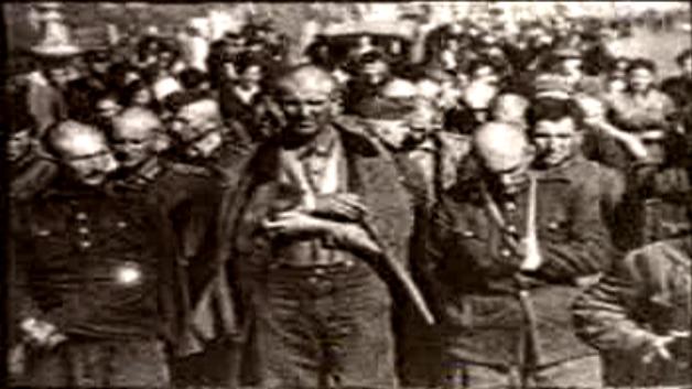 二战的转折点列宁格勒,二战苏德战役纪录片