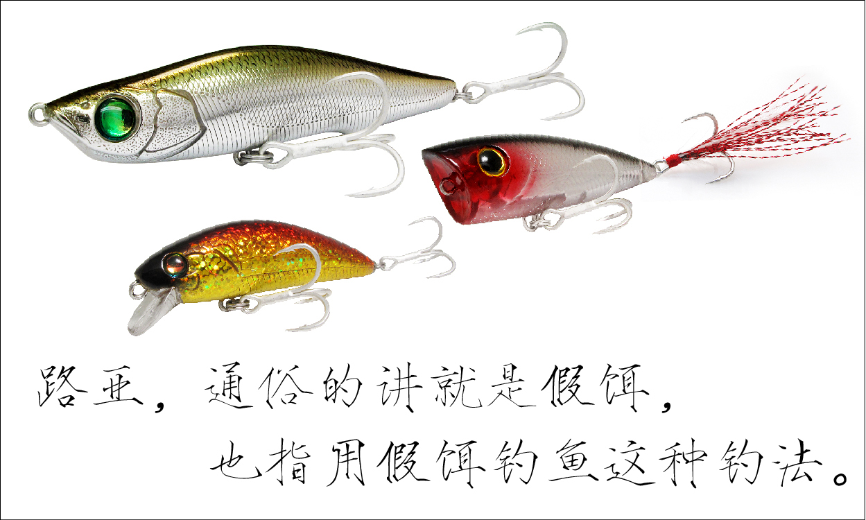 钓鱼有哪些肉食性鱼,海洋钓鱼常见鱼类