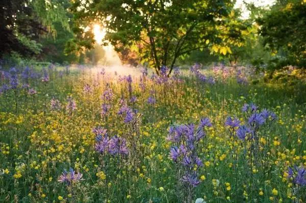 待位64年的王子，花30年将450万㎡荒地打造成世界最美庄园