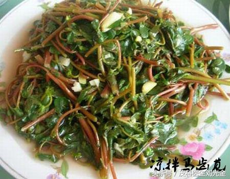 读故事学知识,马齿苋的民间故事