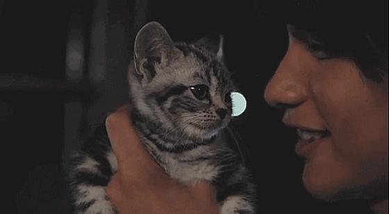 这些猫狗男女都爱看