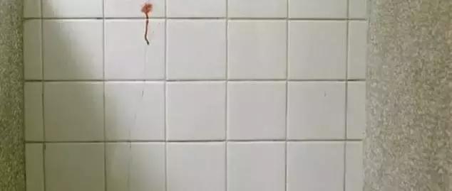 性无能，被劈腿，对着大海撸啊撸，廖凡因女友劈腿裸奔后开枪自杀