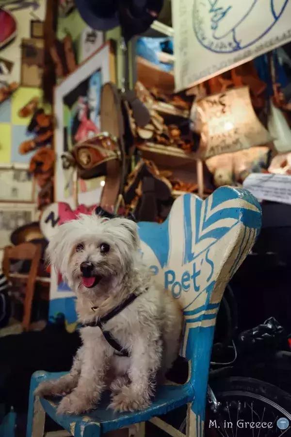 最好的希腊凉鞋，“诗人鞋匠”为你量足而制