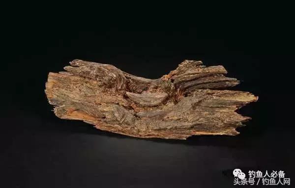 沉香木钓鱼视频大全,沉香木钓鱼