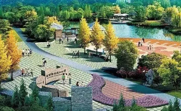 深圳又热了,深圳现在很热了吗