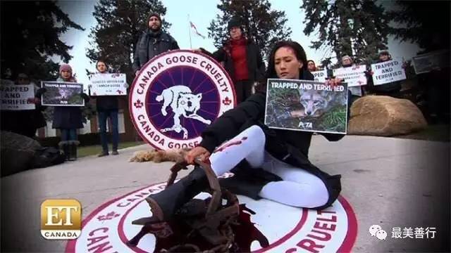 明星加拿大鹅,明星加拿大鹅穿搭