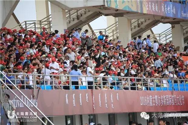 马术文化节开幕,鄂尔多斯驭马节赛事