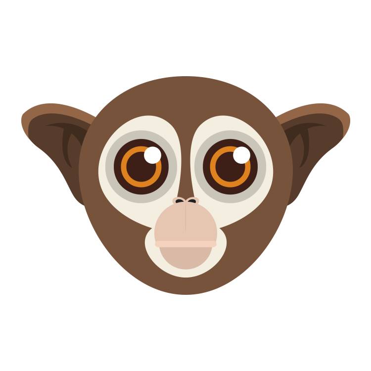 2016年是什么猴,2016年是属什么猴