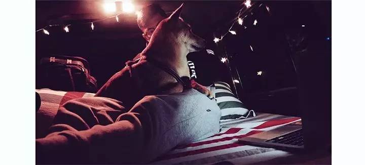 我素质差,我不骂你是因为我素质比你高