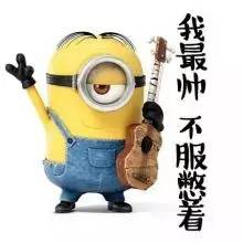 台州：走一走看一看预防禽流感不要钱（阿福讲白搭）