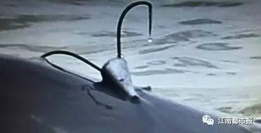 疼！一个铁钩，钩住的是全人类的的心