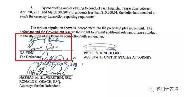 英达洗钱案后续,英达美国避税遭查事件是真的吗