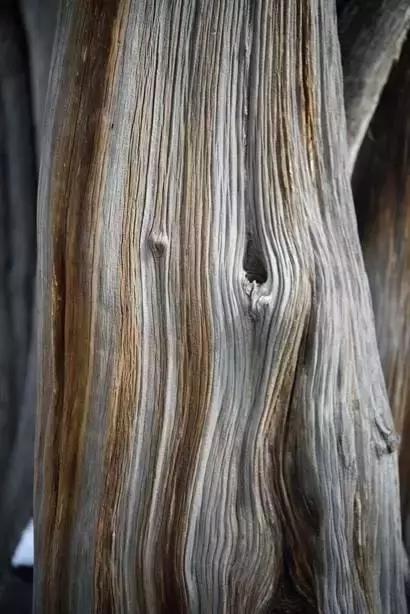 腾龙70-200mmf2.8效果,腾龙sp70-200mmf2.8g2