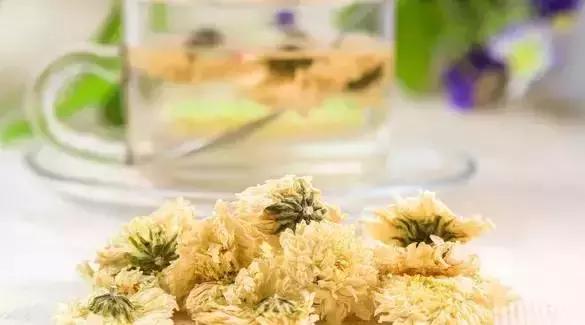 刘虎岐:想种植中草药来赚钱?这些知识点你得先了解!