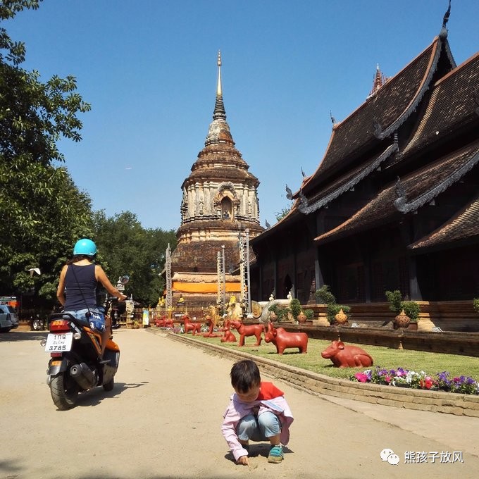能在异国被警察抓也没谁了吧？这是我的清迈，和你去的不一样！