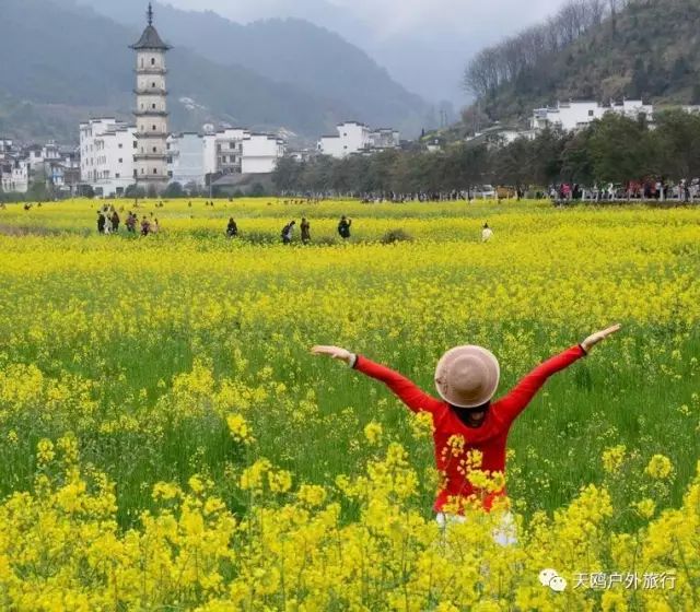 郑州到婺源自由行攻略,郑州去婺源怎么去