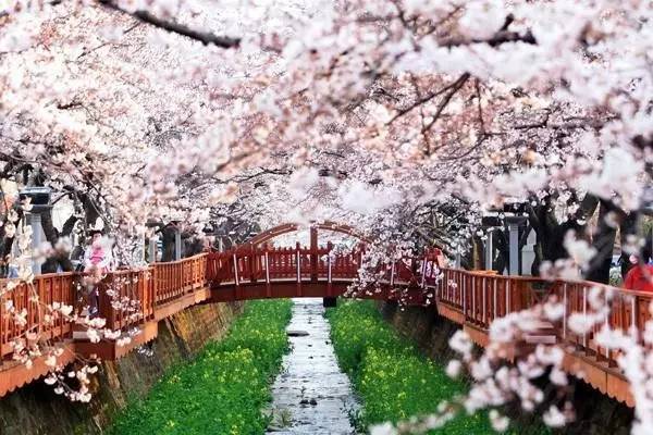 韩国旅游小知识,韩国旅游值得去的地方