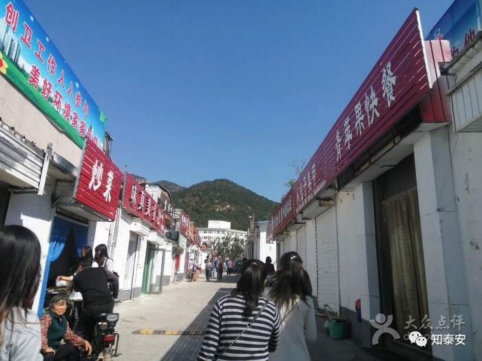 知*安泰**:*安泰**各所大学大PK