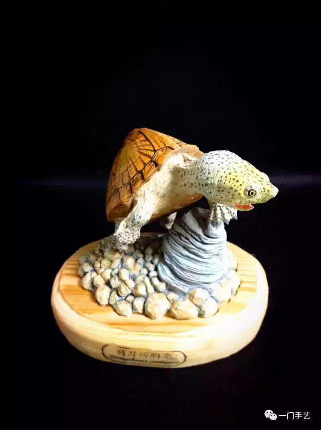 动物模型龟类,乌龟哪个模型好看