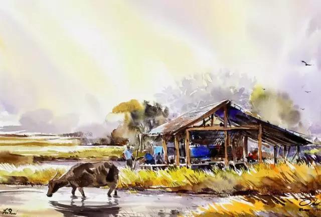 原来这就是本地人所认识的泰国！