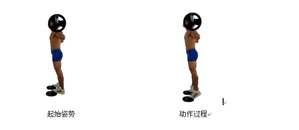 腿部肌肉腓肠肌,腿部肌肉关节