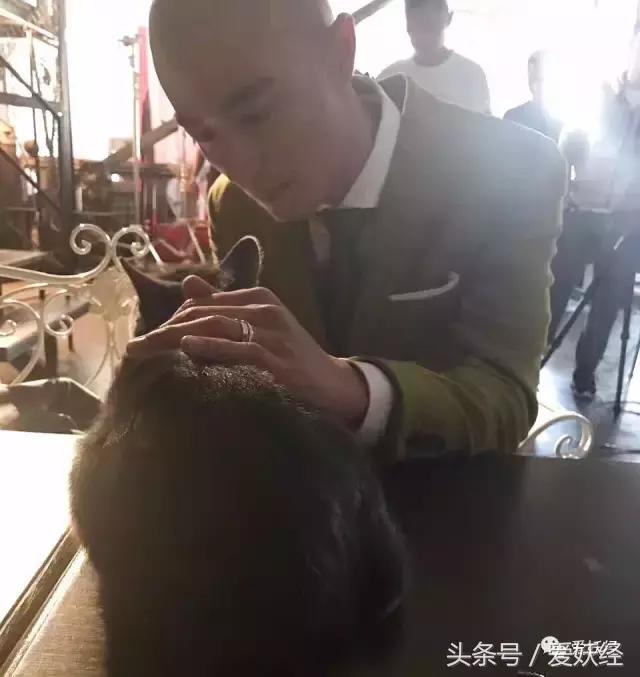 宠物除毛梳,宠物除毛神器哪个好用