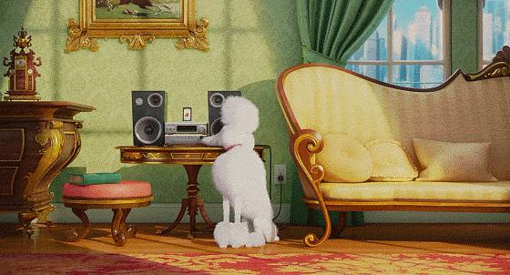 这些猫狗男女都爱看