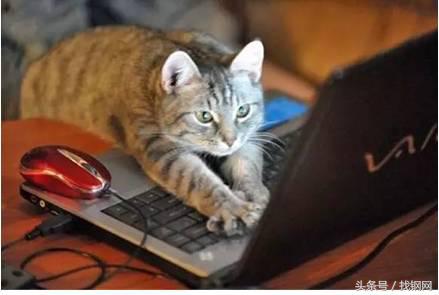 钢材销售员的一天，简直太形象了！笑喷……