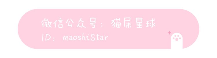 有没有比较时尚年轻化的品牌包包,时尚便宜包包