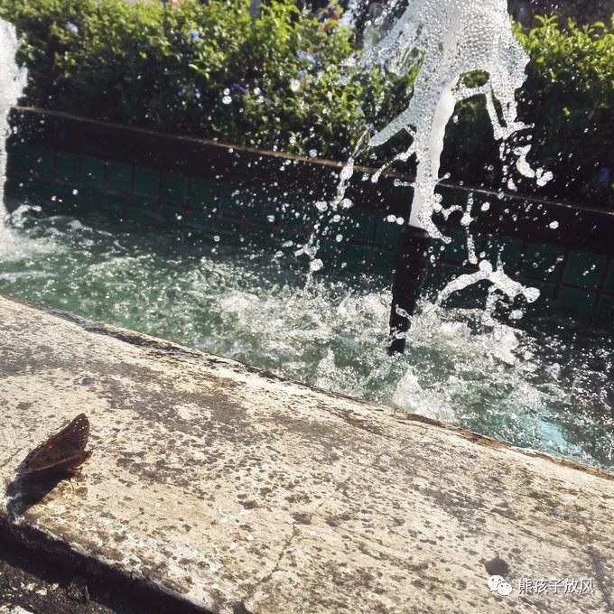 能在异国被警察抓也没谁了吧？这是我的清迈，和你去的不一样！