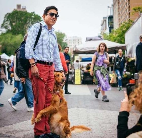 泰迪抱主人的腿,泰迪养大的金毛