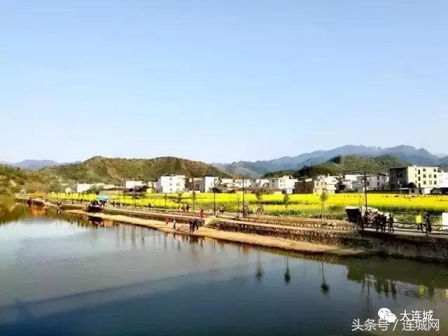 二月二龙抬头闽南人,二月二龙抬头打麻将