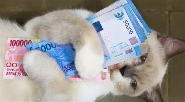 如何跟金融女孩聊天,怎么和金融女的聊天